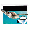 MÀN CHIẾU ĐIỆN ÂM TRẦN 4K 133 INCH TABTENSION - CM-1339EST CBSP 16 : 9